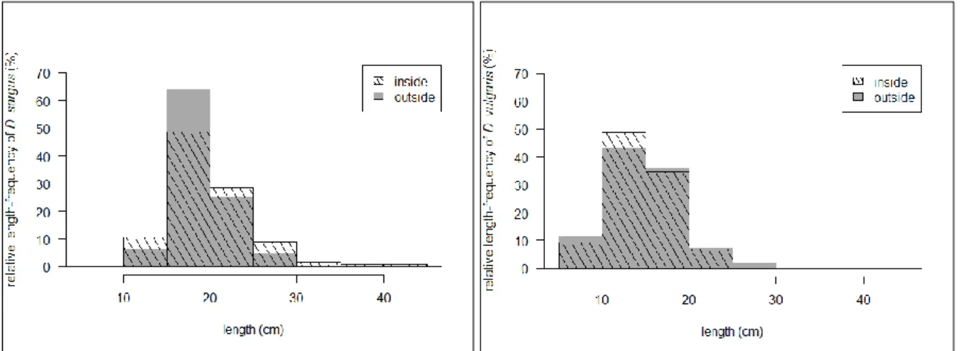 Figure 7: Length-frequency distribution of key target species by protection (SBRUV). 