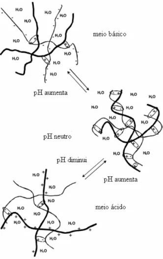 Figura 2.11 Estrutura de um complexo de polietrólito de quitosana  pH-dependente   contendo; quitosana e polímero adicional [67]