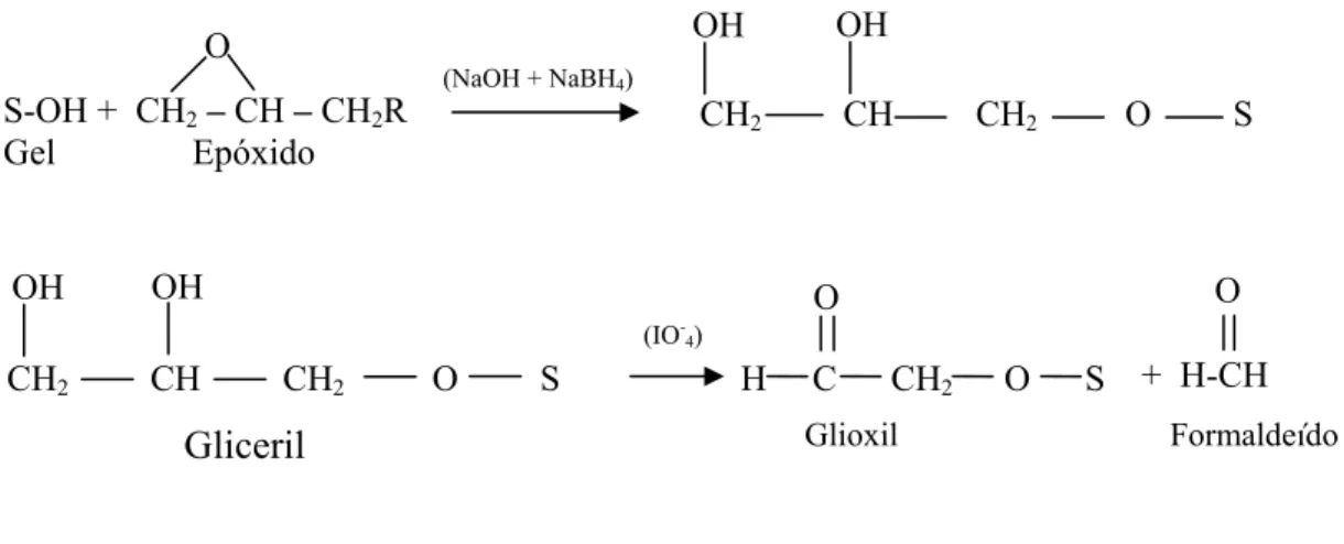 Figura 2.13 Reação de ativação do gel utilizando glicidol ou epicloridrina.