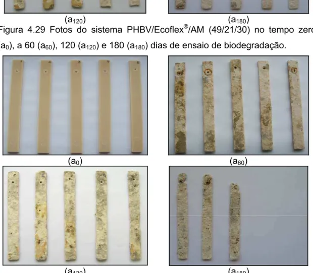 Figura 4.30 Fotos do sistema PHBV/Ecoflex ® /AM (35/35/30) no tempo zero  (a 0 ), a 60 (a 60 ), 120 (a 120 ) e 180 (a 180 ) dias de ensaio de biodegradação