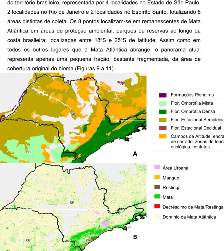 Figura 6. Situação original (A) e atual (B) das formações da Mata Atlântica em  São Paulo (Fonte: www.sosma.org.br).