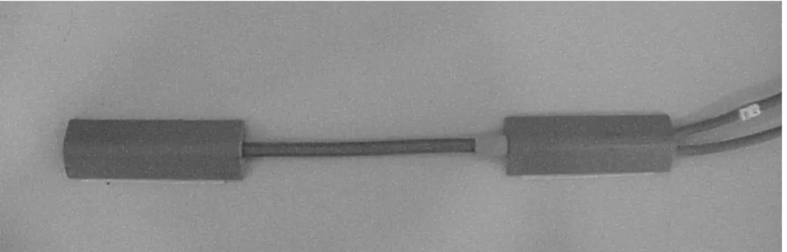 Figura 2. Sensor modelo XM 110 (Biometrics Ltd). 