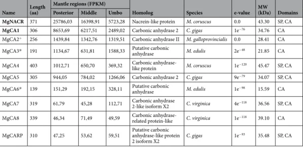 Table 2.  List of the Mediterranean mussel  α -CA transcripts expressed in the mantle edge