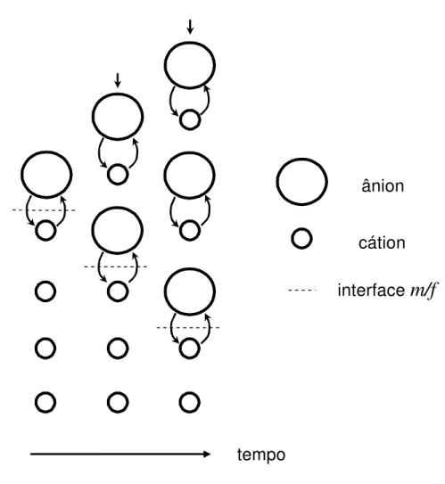 Figura  2.2 – Diagrama  ilustrando  o  mecanismo  de  transporte  i•nico  pelo  modelo de troca coletiva de posi…•es.