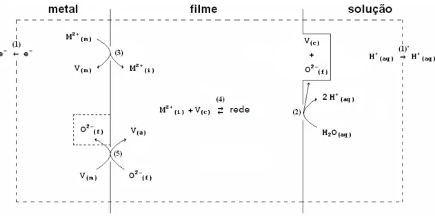 Figura  2.4 – Representa…‡o  esquem‚tica  do  sistema  metal/filme/solução sob  estudo  e  das  principais  rea…•es  que  nele  ocorrem