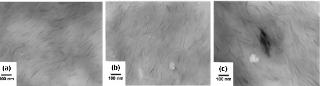 Figura 2.13 Micrografias de MET de nanocompósitos de PA6 com argila  montmorilonita organofílica de a) alto, b) médio e c) baixo peso  molecular [23]