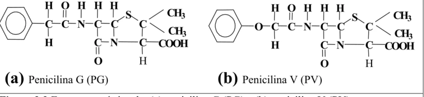 Figura 2.2 Estrutura química da: (a) penicilina G (PG) e (b) penicilina V (PV). 
