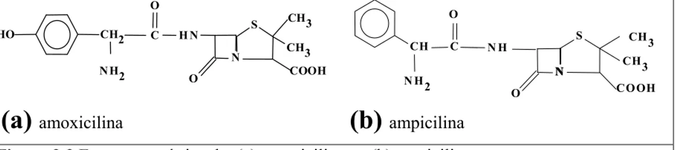 Figura 2.3 Estrutura química da: (a) amoxicilina  e  (b) ampicilina. 