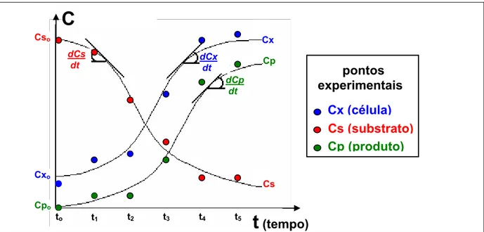 Figura 2.12 Ilustração da cinética de crescimento celular (x), de consumo de substrato (s) e de  formação de produto (p) em um biorreator operando em batelada (SBTR)