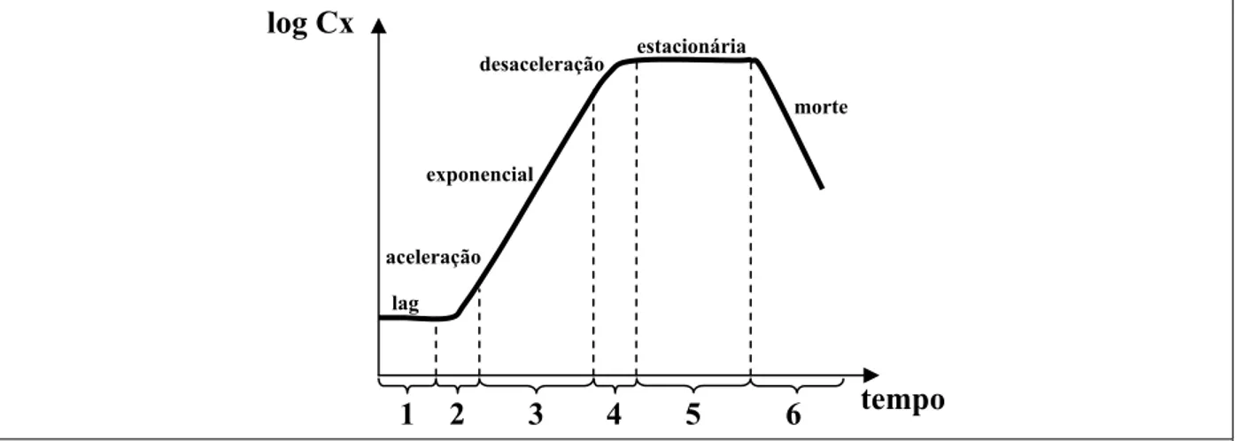 Figura 2.14 Gráficos de log Cx versus tempo e as fases de crescimento microbiano (1-6)