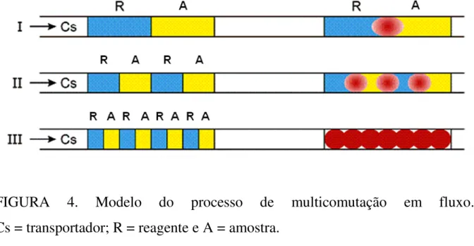 FIGURA  4.  Modelo  do  processo  de  multicomutação  em  fluxo. 