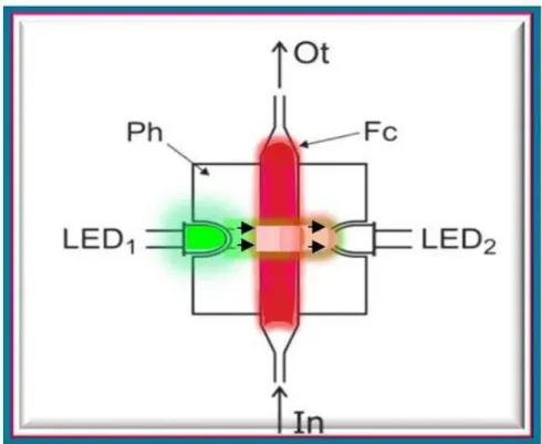 FIGURA  11.  Montagem  da  Cela  de  fluxo  e  dos  LEDs.  Fc  =  tubo  de  vidro,  4,0  mm  diâmetro  interior  e  20  mm  comprimento;  LED 1   e  LED 2  =  diodos  emissores de luz, λ = 530 nm; Ph = bloco de PVC; In e Ot = entrada e saída de  solução, r