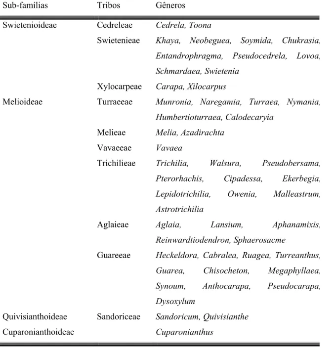 TABELA 1.1. Classificação morfológica da família Meliaceae segundo  Pennington e Styles (PENNINGTON, 1975)