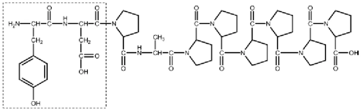 FIGURA 3.1: Estrutura do TMOF, indicação da região do peptídeo em que  foram baseados os ácidos não peptídicos