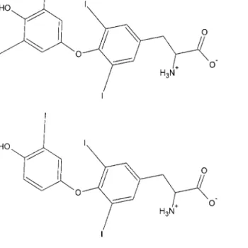 FIG. 1. The structure of the thyroid hormones, T 4 (top) and T 3