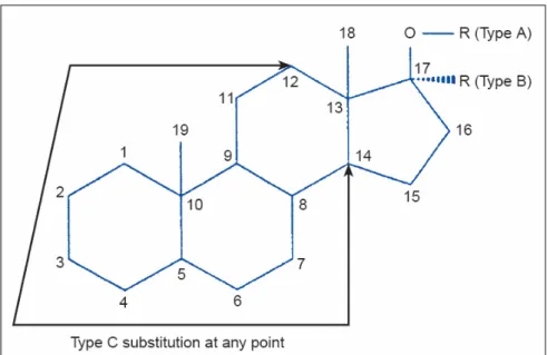 Figura 2. Grupos de EAA. A figura mostra as principais transformações na  molécula de testosterona que originam seus derivados sintéticos