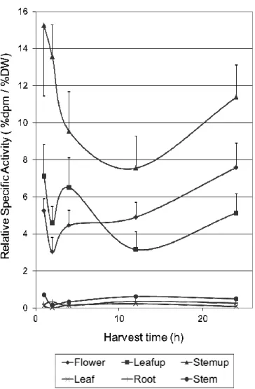 Figure 1 – Time evolution of Relative Specific Activity on the different plant parts, for plants kept  under interior conditions