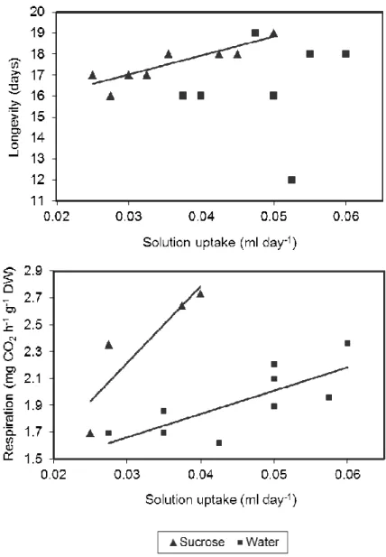 Figure  2  -  Correlations  between  solution  uptake  rate  and  (A)  flower  longevity  or  (B)  flower  respiration  rate  at  day  6  after  anthesis,  of  ‘Meijikatar’  potted  miniature  roses