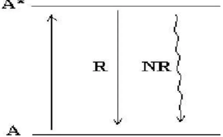 FIGURA 1.1- Esquema do nível de energia de um íon luminescente A. O asterisco  indica o estado excitado, R o retorno radiativo e NR o retorno não radiativo para o  estado fundamental 2 