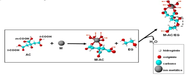 FIGURA 1.4 – Esquema das reações de esterificação  e complexação no Método dos  Precursores Poliméricos,   AC = ácido cítrico, EG = etilenoglicol