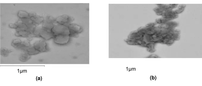 FIGURA 5.5- Micrografias das amostras de sílica FUMED comercial antes  do  encapsulamento(a) e da SiO 2 @Eu 2 O 3  aquecida a 500 o C (b)