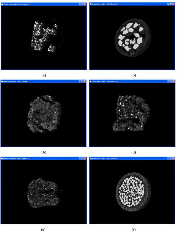 Figura 50 – Imagens das amostras reconstruídas em 3-D com o algoritmo de B-Wavelets e adotadas  para o desenvolvimento do presente trabalho: argila (a), areia (b), adubo (c), cimento (d, e) e vidro (f)