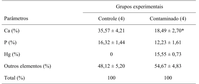 Tabela  2: Espectometria de Dispersão de Raios-X (EDX) da região interna da tíbia mostrando a composição  percentual (%) dos elementos Ca, P, Hg e de outros elementos (Cl, O, C, Na, Mg)