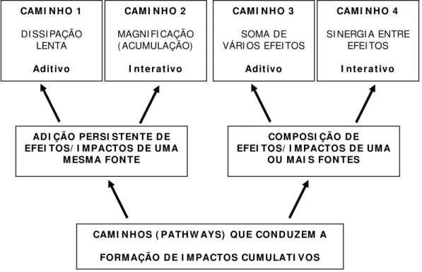 FIGURA 6: Caminhos (pathways) de formação de impactos cumulativos (adaptado  de PETERSON et al, 1987) 