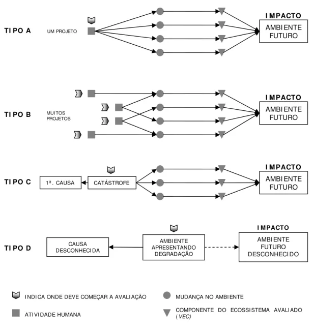 FIGURA 7: Representação dos tipos de Impactos propostos por LANE et al, 1988    