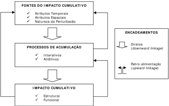 FIGURA 8: Embasamento conceitual de impactos cumulativos: encadeamentos  entre os componentes do modelo causal (SPALING, 1994)