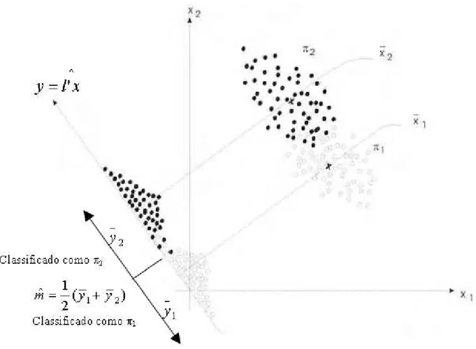 Figura 4-2: Processo de classi…cação pelo método de Fisher para 2 populações (JOHNSON e WICHERN, 1988)
