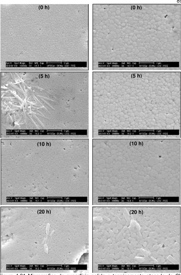 Figura 4.21 Micrografias de superfície polida e termicamente atacada de CY  sinterizada com pico a 1300 °C