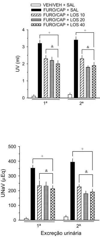 Figura 5. Excreção urinária (UV e UNaV) induzida pelo 1º e 2º FURO/CAP em ratos  do Experimento 2b submetidos a repetição dos seguintes protocolos: VEH/VEH +  SAL (barra branca), FURO/CAP + SAL (barra preta) ou FURO/CAP + LOS 10, 20 ou  40 mg/kg (barras ac