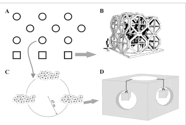 Figure 2.  A  -Faro/Ancão artificial reef  system. B –  Large  module.  C – Reef  group  with 3 groups of 35  small modules each
