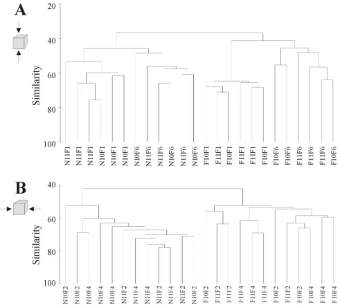 Figure  6.  CLUSTER  dendrograms  of  the  fourth  root  transformed  species-abundance  data  of  the  two  studied reef groups (10 and 11)