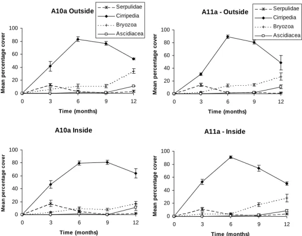 Figure 4. Major taxonomical groups at the two studied reef groups, Outside vs. Inside surfaces.