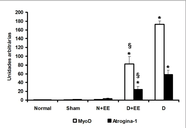 FIGURA 4. Níveis de RNAm de myoD e atrogina-1 em músculo tibial anterior (TA) de rato