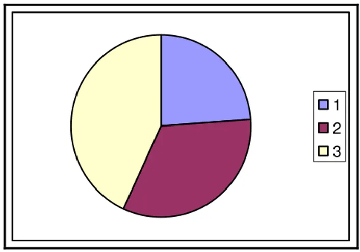 Figura 2: Gráfico da subdivisão das horas da pesquisa de campo. 