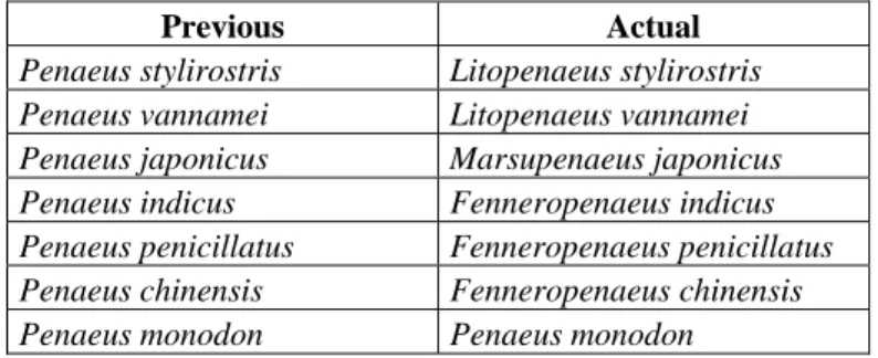 Fig. 5 – Drawing of Litopenaeus vannamei 