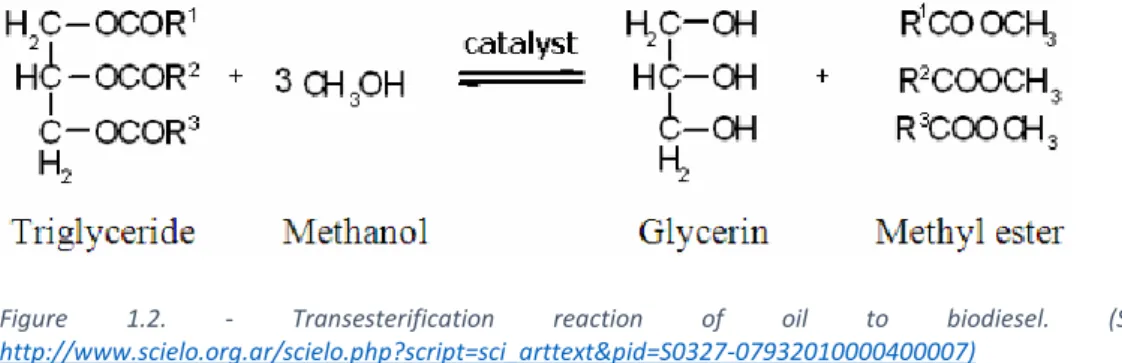 Figure  1.2.  -  Transesterification  reaction  of  oil  to  biodiesel.  (Source: 