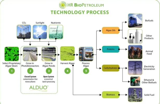 Figure 1.3 - Schematic representation of a biorefinery process. A strain of microalgae is selected and grown in  a closed or open system depending on which will present a better costs-biomass yield relationship
