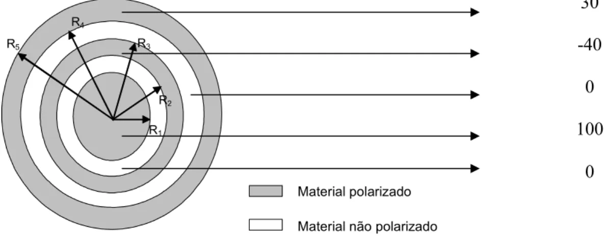 Figura 3.2: Disco cerâmico com seus respectivos anéis e polarização relativa entre eles.