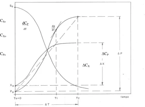 Figura 2.2: Variação de C S , C X  e C P , com o tempo em um processo descontínuo (Copersucar, 1987)