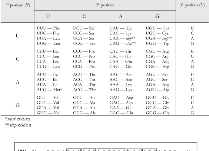 Figura 1.10. Síntese de uma proteína a partir de uma região do DNA correspondente a um gene.