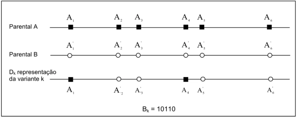 Figura 3.5. Duas seqüências parentais A e B e uma variante k resultante de cruzamentos entre os parentais