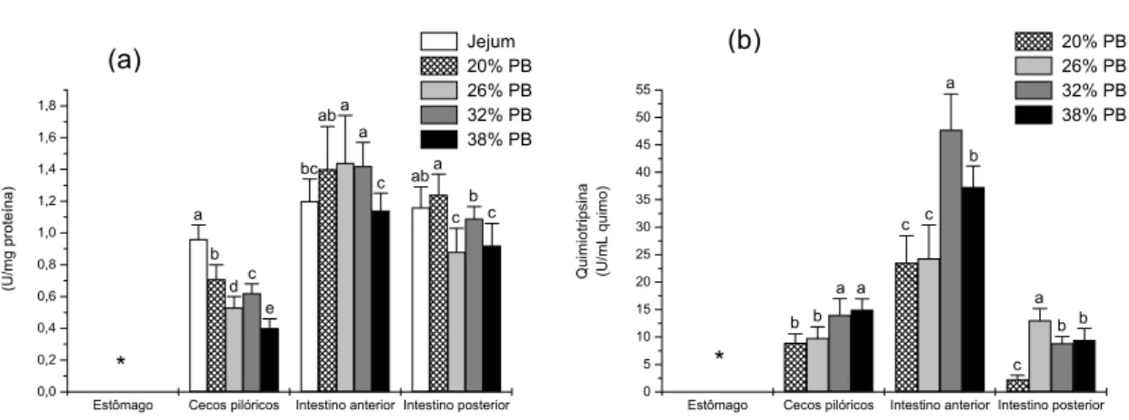 Figura 7.  Perfil da atividade da quimiotripsina na parede (a) e no quimo (b) do trato  digestório de P