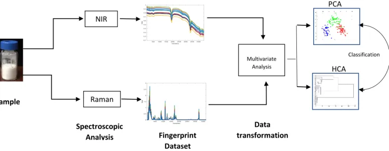 Figure 5 - Workflow of the study design  1.7.  Chemometrics 