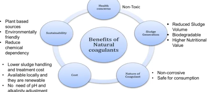 Figure  1  summarizes  the  benefits  of  using  natural  coagulants  as  an  alternative  to  chemical  coagulants in water clarification process (Choy et al