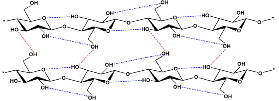 Figure  2:  Intramolecular  (----)  and  intermolecular  (----)  hydrogen  bonding  networks  in  cellulose structure (Xie et al