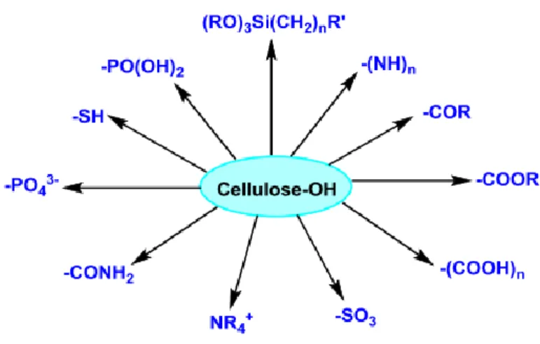 Table 1: Types and sources of nanocellulose (Wang, 2019) 